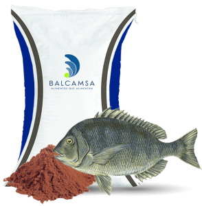 Harina De Pescado – Balcamsa